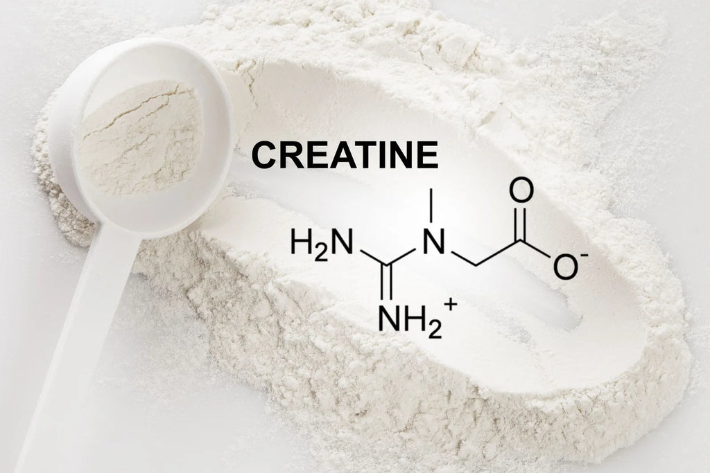 How Creatine Helps You Gain Muscle and Strength
